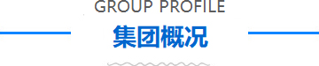 BOB国际在线·(中国)集团
