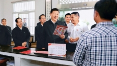 BOB�������ߡ�(�й�)����