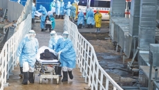 BOB�������ߡ�(�й�)����