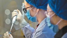 BOB�������ߡ�(�й�)����