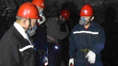 BOB�������ߡ�(�й�)����