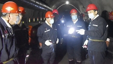 BOB�������ߡ�(�й�)����