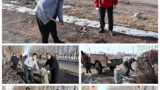 BOB�������ߡ�(�й�)����