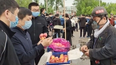 BOB�������ߡ�(�й�)����