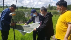 BOB�������ߡ�(�й�)����