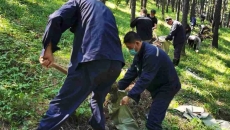 BOB�������ߡ�(�й�)����