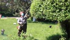 BOB�������ߡ�(�й�)����