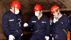 BOB�������ߡ�(�й�)����