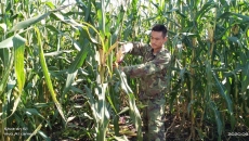 BOB�������ߡ�(�й�)����