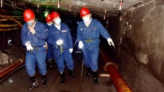 BOB�������ߡ�(�й�)����