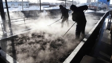 BOB�������ߡ�(�й�)����