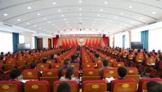 BOB�������ߡ�(�й�)����