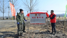 BOB�������ߡ�(�й�)����