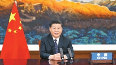 BOB�������ߡ�(�й�)����