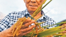 BOB�������ߡ�(�й�)����