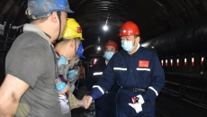 BOB�������ߡ�(�й�)����