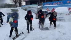 BOB�������ߡ�(�й�)����