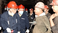 BOB�������ߡ�(�й�)����