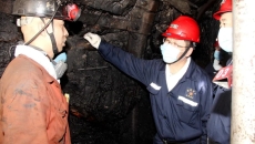 BOB�������ߡ�(�й�)����