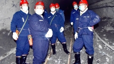 BOB�������ߡ�(�й�)����