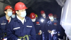 BOB�������ߡ�(�й�)����