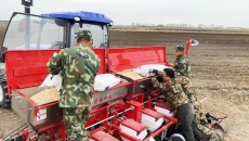 BOB�������ߡ�(�й�)����