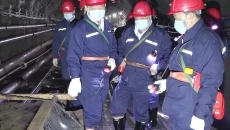 BOB�������ߡ�(�й�)����