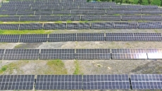 BOB�������ߡ�(�й�)����