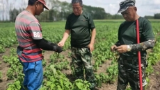 BOB�������ߡ�(�й�)����