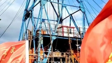 BOB�������ߡ�(�й�)����