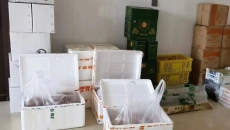 BOB�������ߡ�(�й�)����