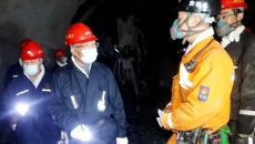 BOB�������ߡ�(�й�)����