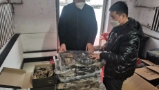 BOB�������ߡ�(�й�)����