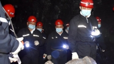 BOB�������ߡ�(�й�)����