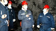 BOB�������ߡ�(�й�)����