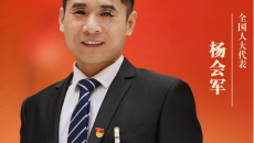 BOB�������ߡ�(�й�)����