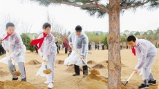 BOB�������ߡ�(�й�)����