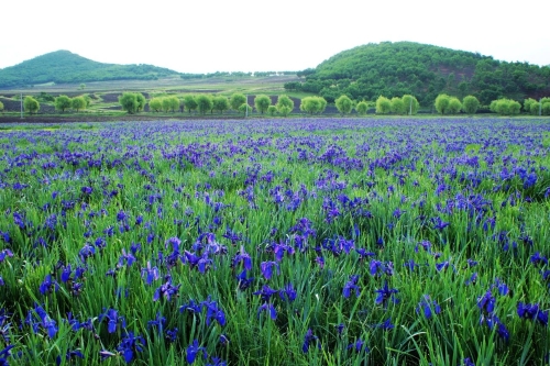 ΢��ͼƬ_20230409181012