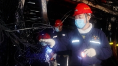 BOB�������ߡ�(�й�)����