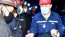 BOB�������ߡ�(�й�)����