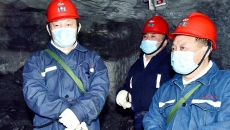 BOB�������ߡ�(�й�)����