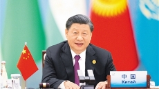 BOB�������ߡ�(�й�)����