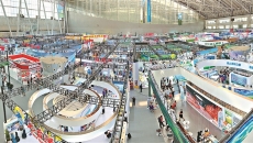 BOB�������ߡ�(�й�)����