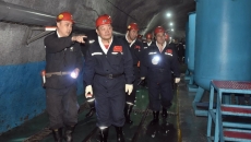 BOB�������ߡ�(�й�)����