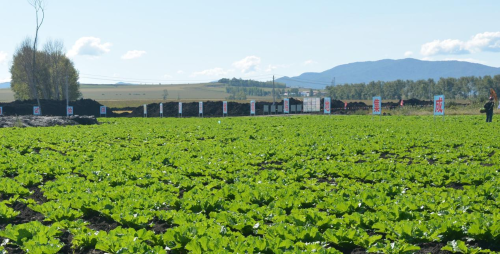 ΢��ͼƬ_20230727231345