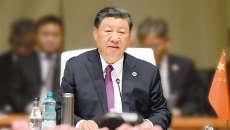 BOB�������ߡ�(�й�)����