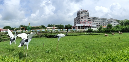 BOB�������ߡ�(�й�)����