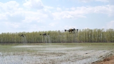 BOB�������ߡ�(�й�)����