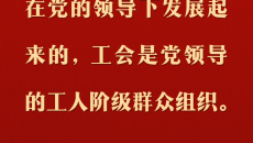 BOB�������ߡ�(�й�)����