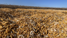 BOB�������ߡ�(�й�)����